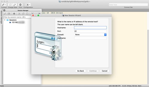 軟件開發(fā) 從概念到實現(xiàn)的藝術(shù)與科學(xué)